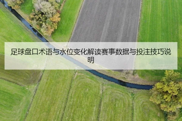 足球盘口术语与水位变化解读赛事数据与投注技巧说明
